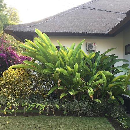 Villa Danison Umeanyar Zewnętrze zdjęcie
